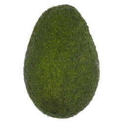 Avocado 3 For R33
