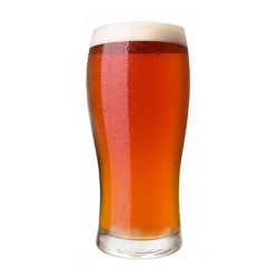 500ML BEER HOPS GLASS 500ML BEER HOPS GLASS