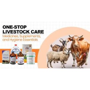 Animal Health Medicine Live stock