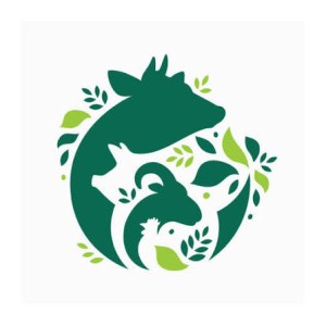 Animal Feed ( Live Stock )