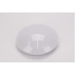 Brightstar LED Ceiling Light 12W