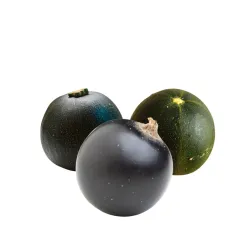 1kg Organic Gem Squash