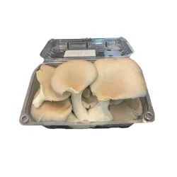 250g Grey Oyster Mushrooms