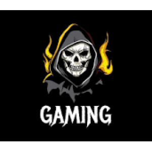 Gaming & Accessories