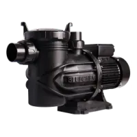 Bluechem 2 Pool Pump – 0.75 kW 230 V Pool and Spa Pump